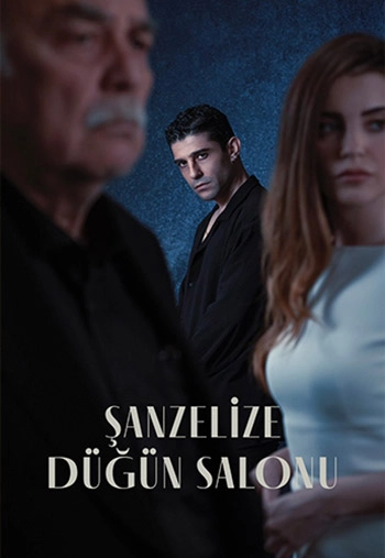 Свадебный салон Елисейские поля турецкий сериал